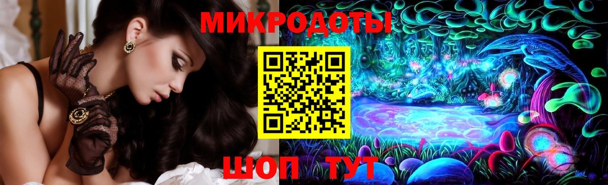 Галлюциногенные грибы Psilocybine cubensis Малоярославец