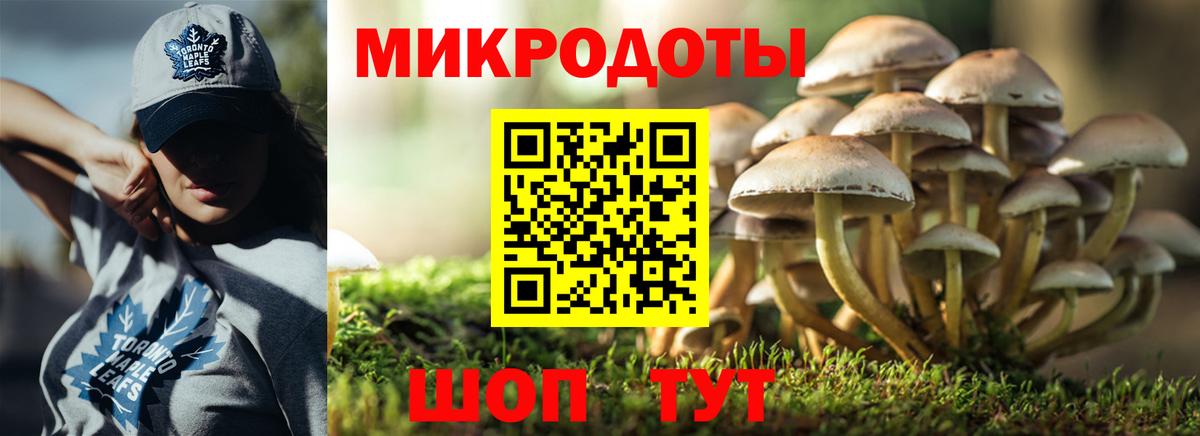 Малоярославец  Галлюциногенные грибы GOLDEN TEACHER  Вход с VPN 